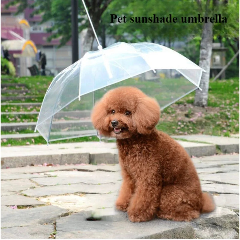 Pet Umbrella Teddy Small Dog Umbrella with Traction Dog Chain Walking Umbrella Rainy Travel Convenient Dog Raincoat Umbrella