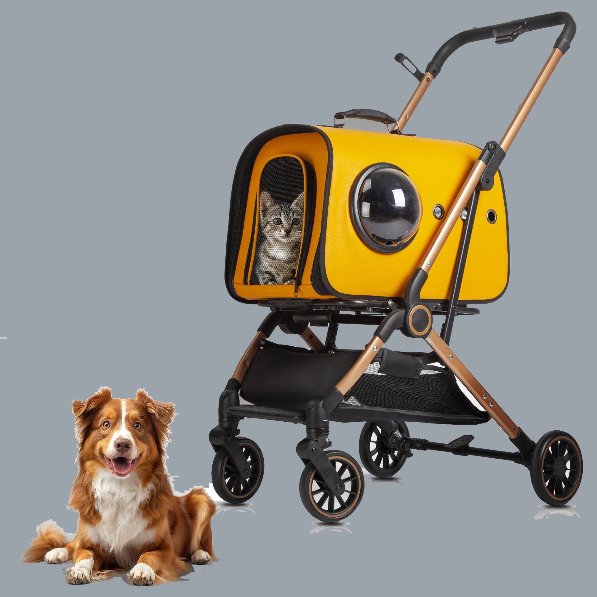 Cat Bag Out Portable Space Capsule Breathable Backpack Pet Dog Dog Large Capacity Cat Travel Suitcase Rabbit Bag