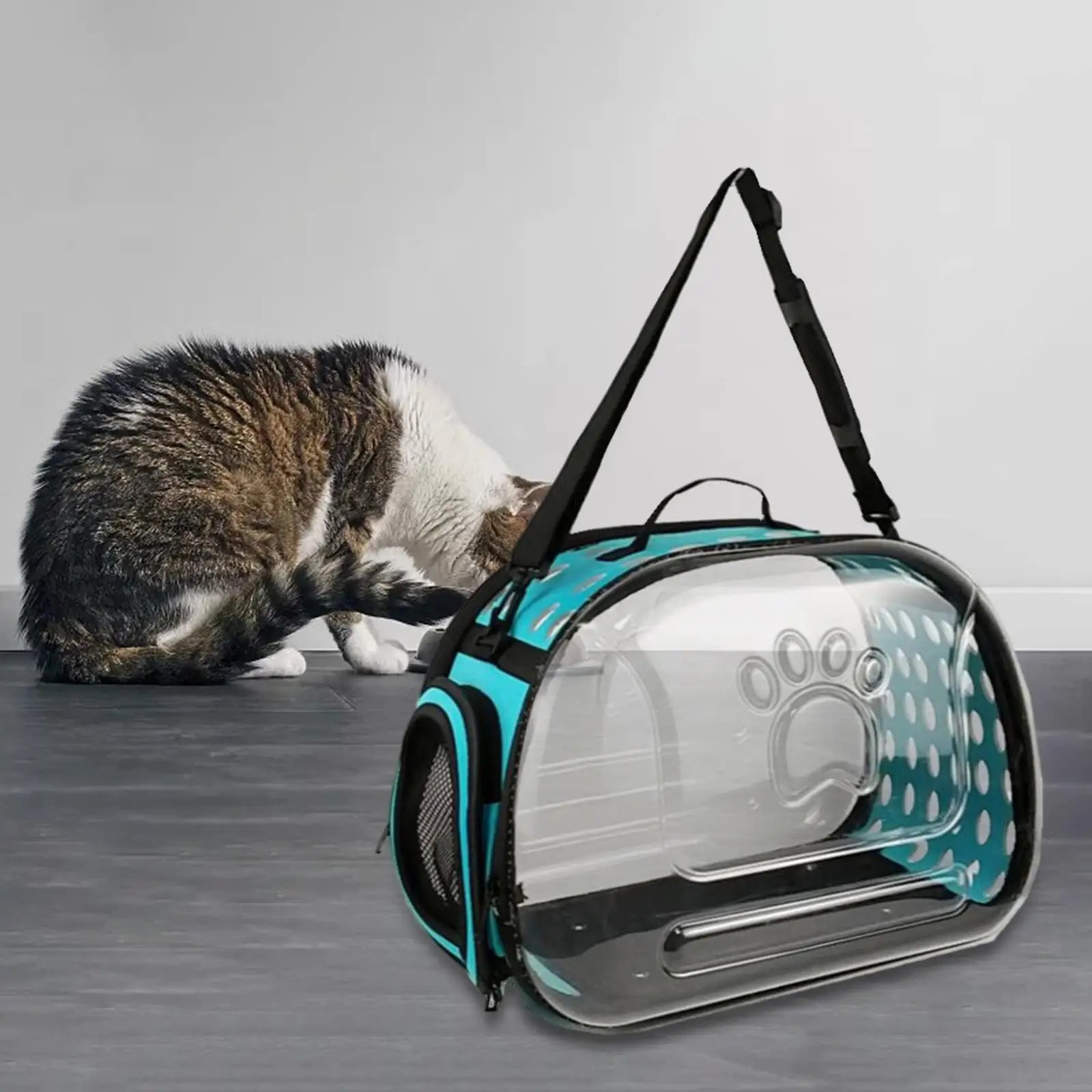 Transparent Cat Carrier Foldable Outdoor Pet Carry Bag for Dog Cat Crossbody Breathable Collapsible Travel Cat Carrier Bag