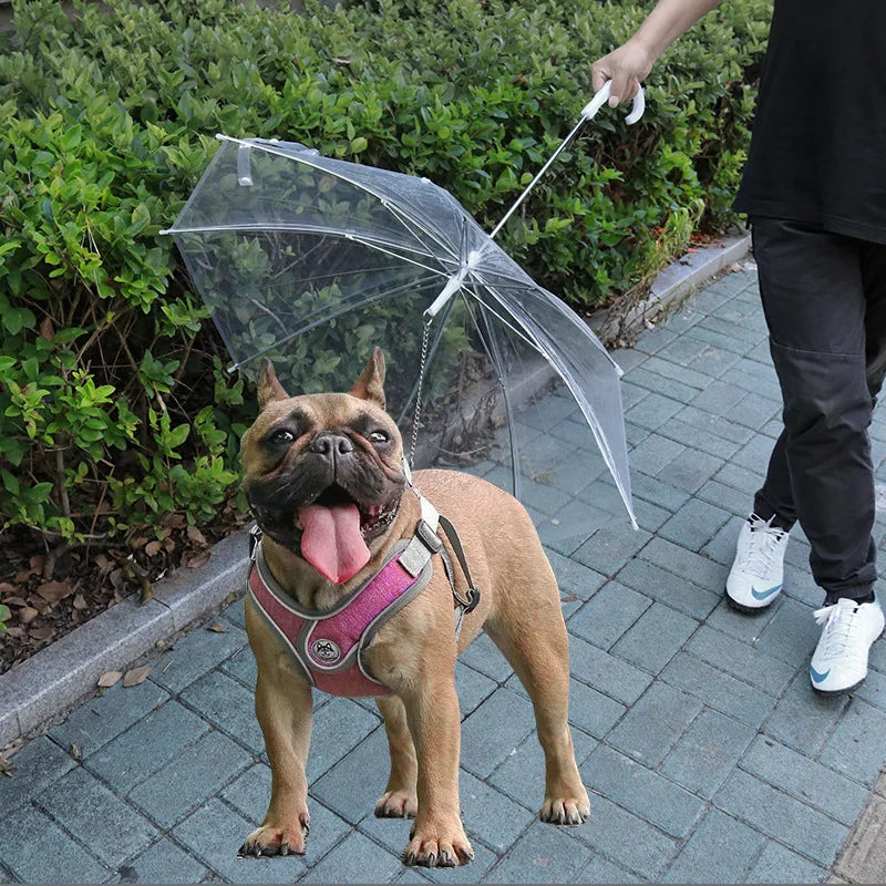 Pet Umbrella Teddy Small Dog Umbrella with Traction Dog Chain Walking Umbrella Rainy Travel Convenient Dog Raincoat Umbrella