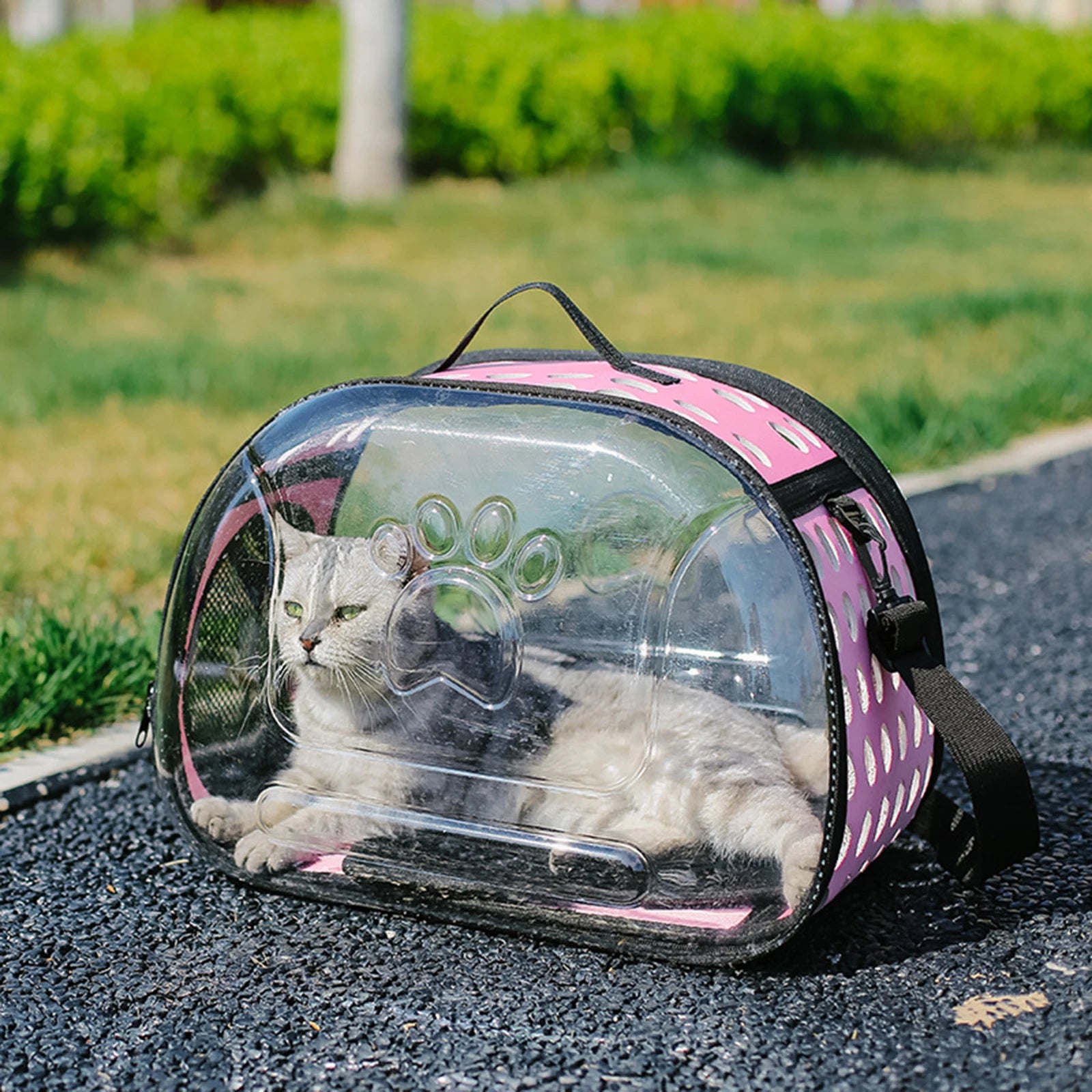 Transparent Cat Carrier Foldable Outdoor Pet Carry Bag for Dog Cat Crossbody Breathable Collapsible Travel Cat Carrier Bag
