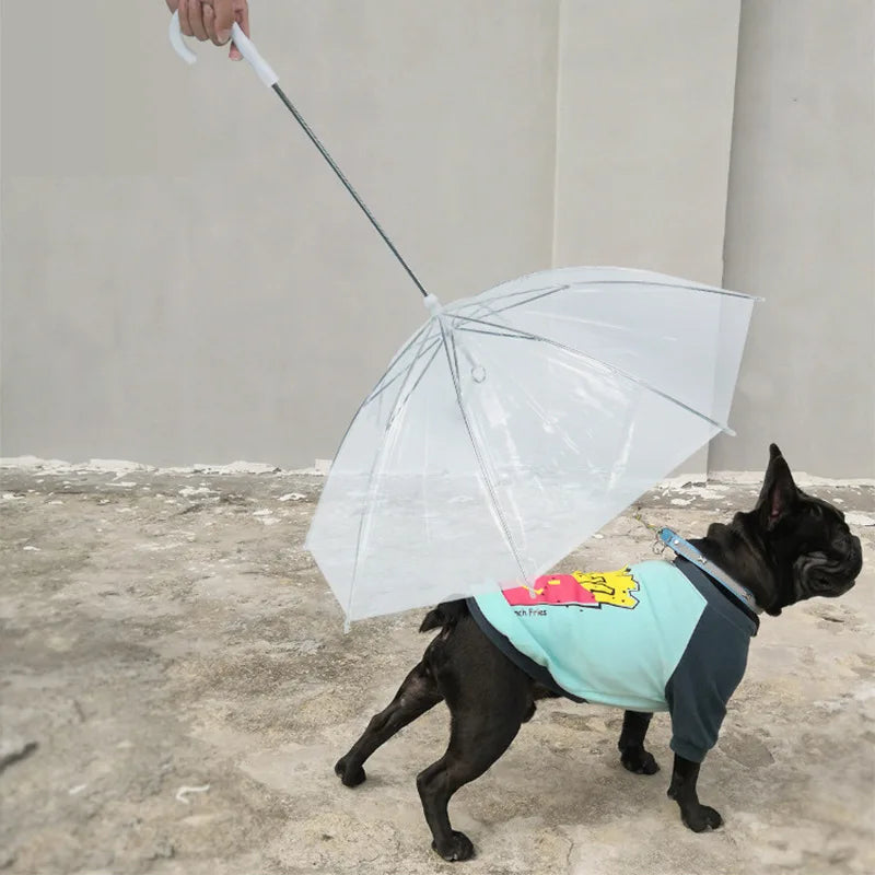 Pet Umbrella Teddy Small Dog Umbrella with Traction Dog Chain Walking Umbrella Rainy Travel Convenient Dog Raincoat Umbrella